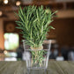 Fresh Rosemary, 25g